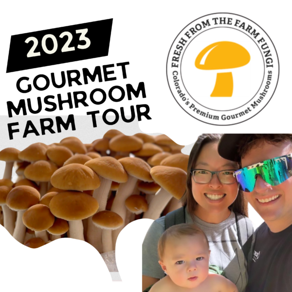CLICK HERE FOR OUR VIRTUAL FARM TOUR